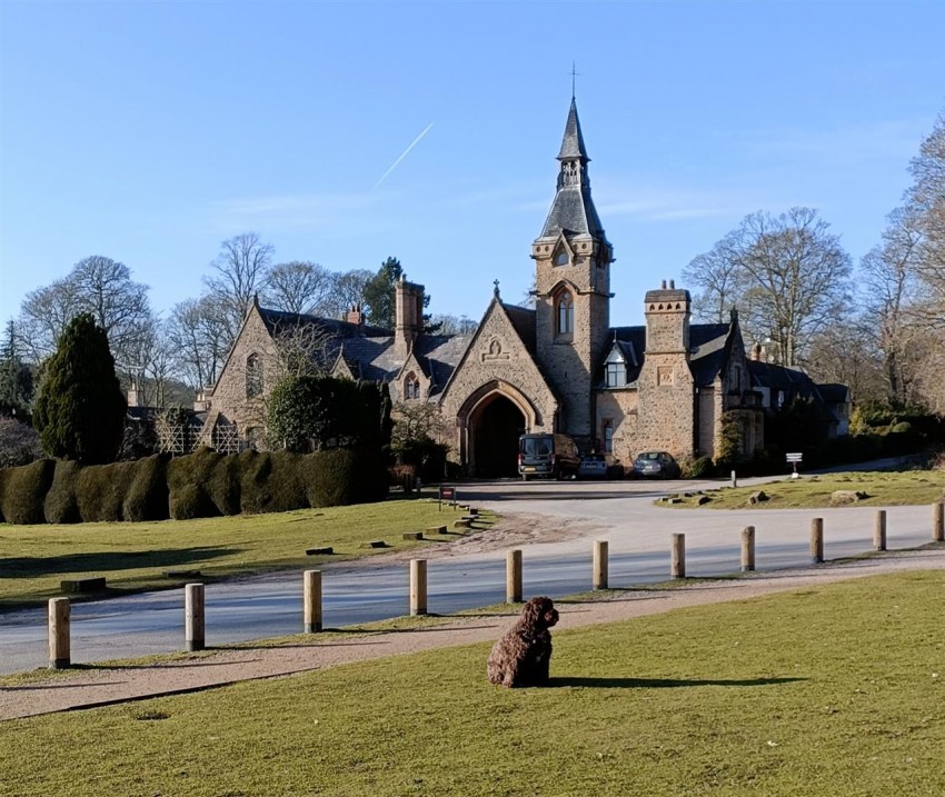 Images for Newstead Abbey Park, Nottingham