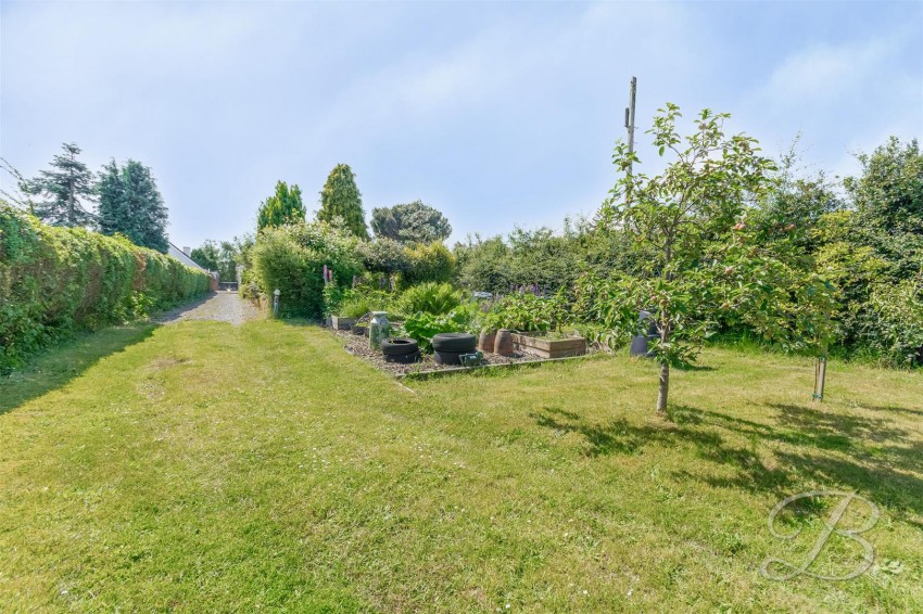 Images for Lime Grove, Forest Town, Mansfield