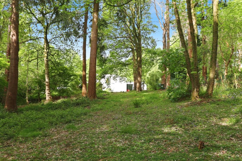 Images for Haggnook Wood, Ravenshead, Nottingham