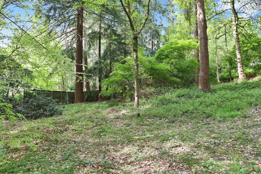 Images for Haggnook Wood, Ravenshead, Nottingham