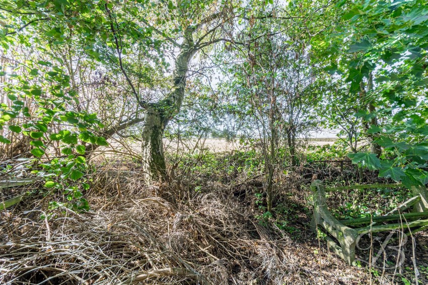 Images for Kneesall, Newark
